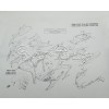 Bolt kit - Suzuki GSXR600/750 2006-2007